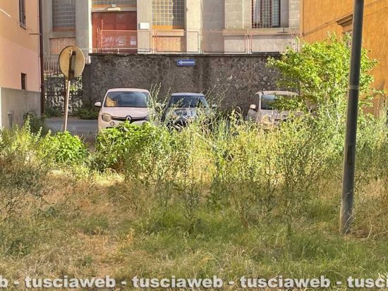 I giardini di via Capocci nell'abbandono totale