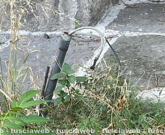 I giardini di via Capocci nell'abbandono totale