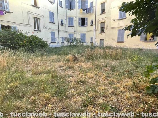 I giardini di via Capocci nell'abbandono totale