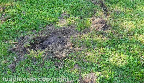 Bagnaia - Degrado a Villa Lante 