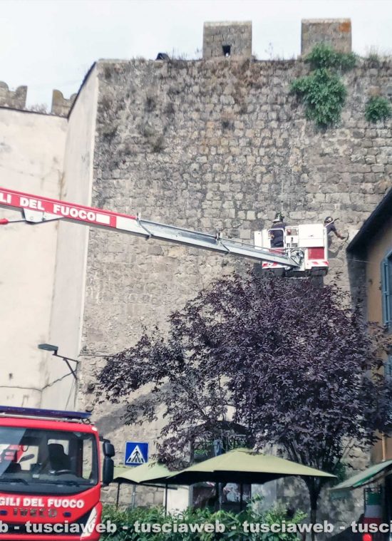 Schermata-2021-07-08-alle-17.06.40