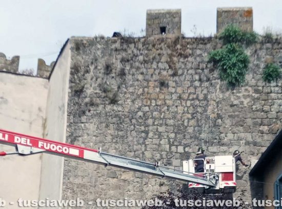 Viterbo - Cadono calcinacci dalle mura castellane di porta della Verità