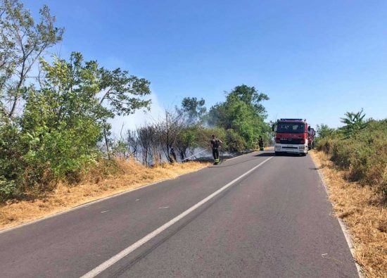 Bagnoregio - INcendio in strada Campolungo