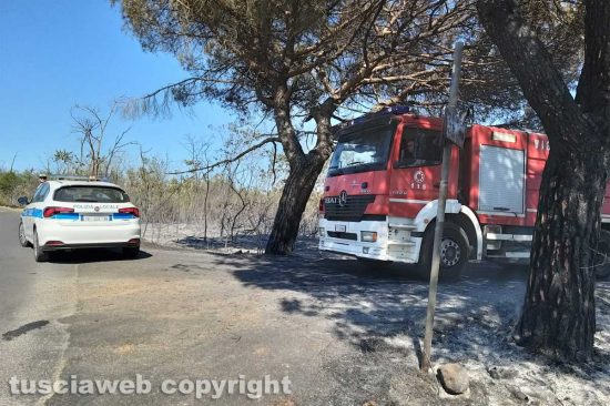 Bagnoregio - Incendio in strada Campolungo