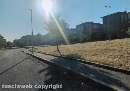 Bagnaia - Via Matteo Giovannetti ripulita