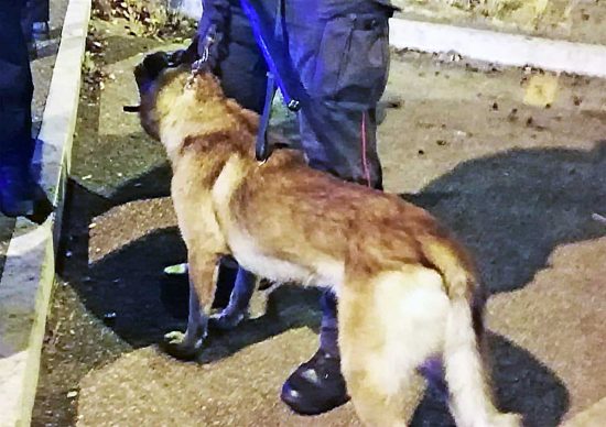 Schermata-2021-07-11-alle-11.06.05