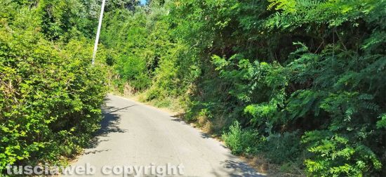 Viterbo - Le strade che portano a Roccalvecce