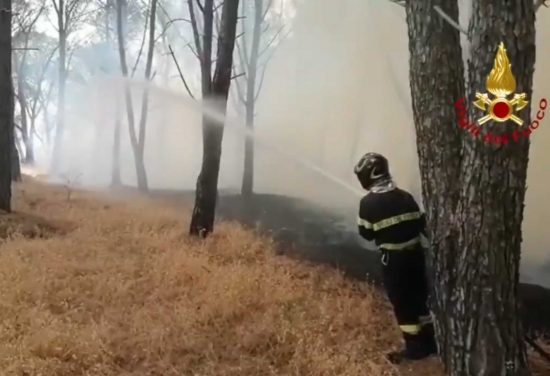 Incendio nella zona boschiva del comune di Oristano