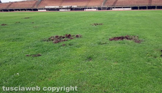 Tuscania - Il campo sportivo danneggiato dai cinghiali