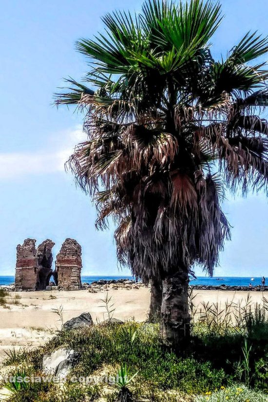 WhatsApp-Image-2021-07-02-at-07.50.01-(1)