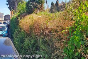 Viterbo - Incuria in via Castello Almadiano