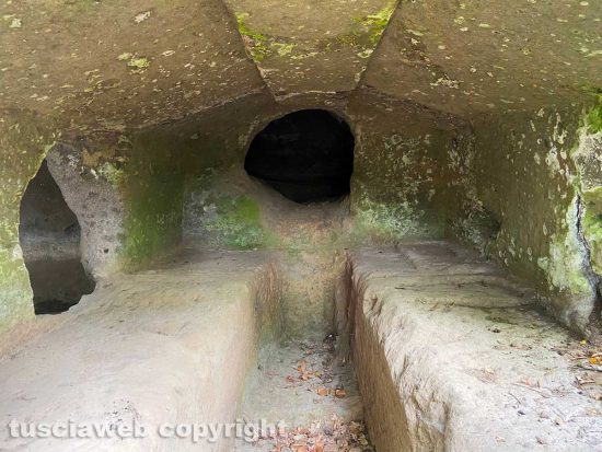 Tuscania - Necropoli della Peschiera