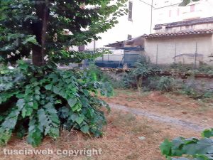 Viterbo - Erba alta al giardino al Pilastro