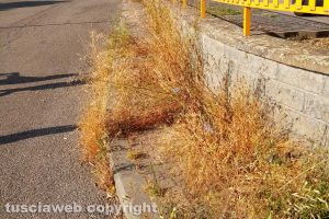 Incuria lungo i marciapiedi di Santa Barbara