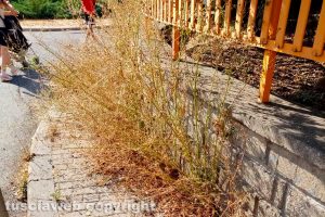Incuria lungo i marciapiedi di Santa Barbara