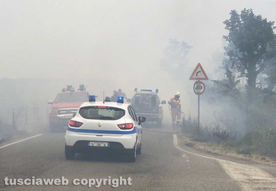 Incendio su strada provinciale Torretta tra Acquapendente e Grotte di Castro