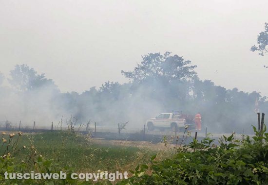 Incendio su strada provinciale Torretta tra Acquapendente e Grotte di Castro
