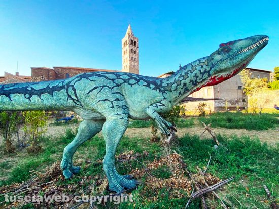 Viterbo - Dinosauri a palazzo dei papi