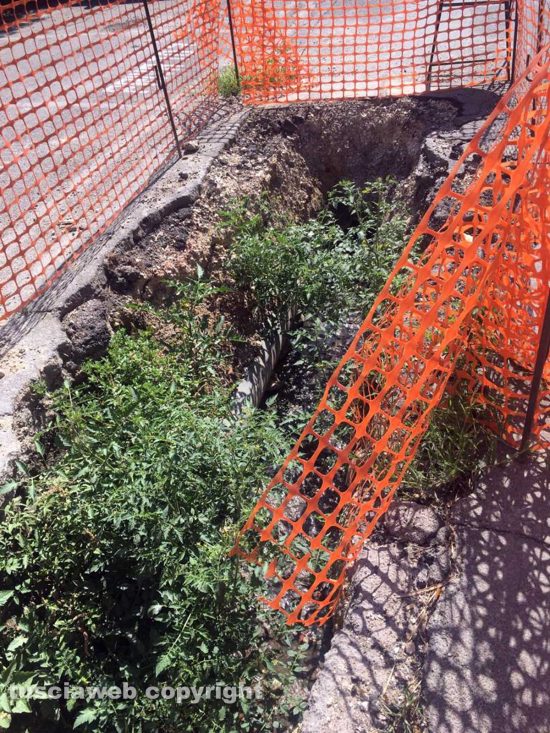 Orte - Negli scavi del cantiere nascono le piante