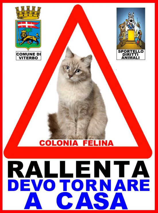 Il cartello contro la strage dei felini