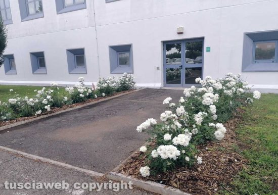 Il giardino del tribunale - Realizzazione dell'ingresso laterale