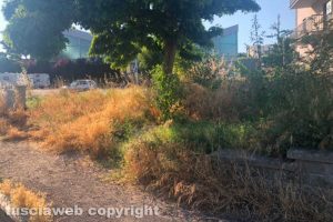 Viterbo - Incuria al Murialdo