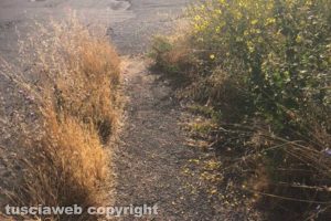 Viterbo - Incuria al Murialdo