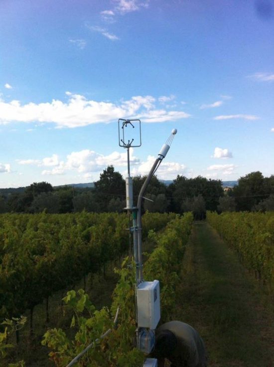 Castiglione in Teverina - Azienda Tre botti