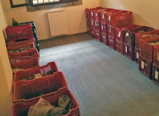 Montefiascone - I reperti archeologici nelle ex carceri papaline