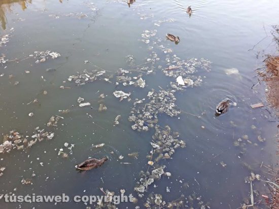 Tarquinia - Degrado alle Saline