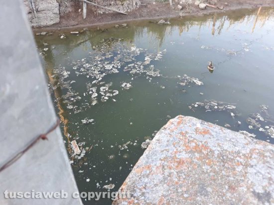 Tarquinia - Degrado alle Saline