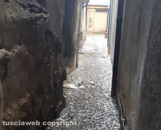 Viterbo - Via delle Fabbriche