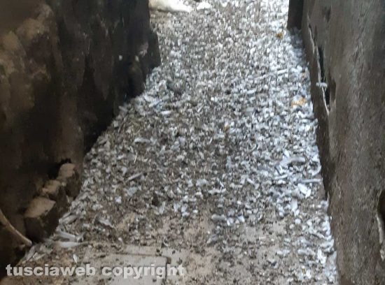 Viterbo - Via delle Fabbriche