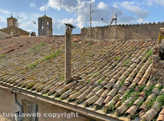 Tessennano - Incuria e abbandono stabile in via Mameli