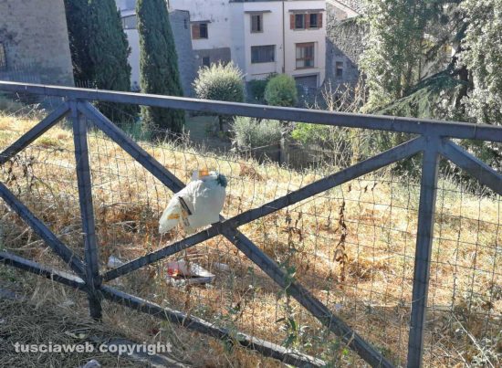 Viterbo - Immondizia e cocci di vetro al parcheggio del Sacrario