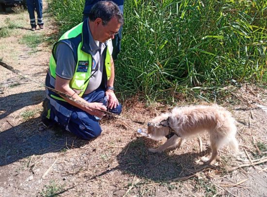 Acquapendente - I volontari della protezione civile che hanno ritrovato l'uomo scomparso