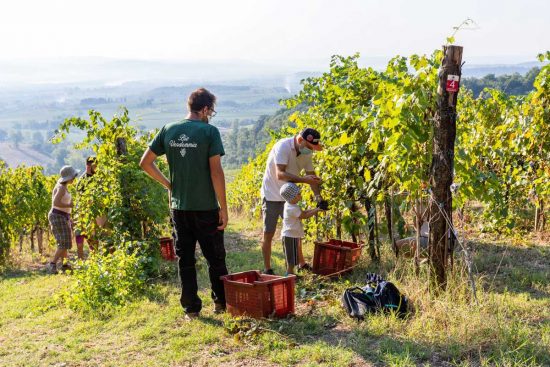Castiglione in Teverina - L’azienda biologica Trebotti