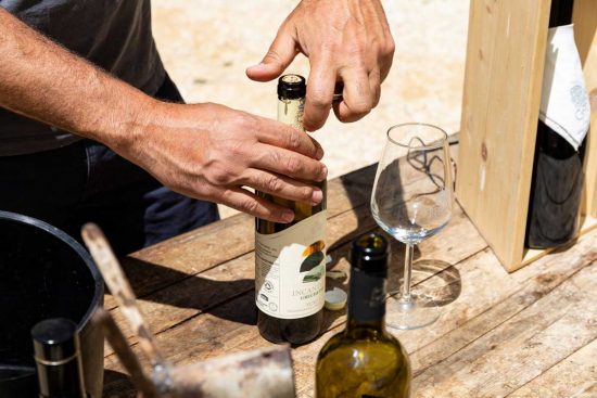 Castiglione in Teverina - L’azienda biologica Trebotti