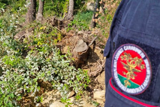 Rieti - Intervento dei carabinieri forestali
