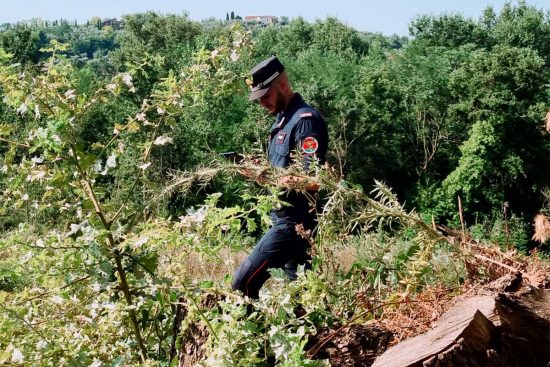 Rieti - Intervento dei carabinieri forestali