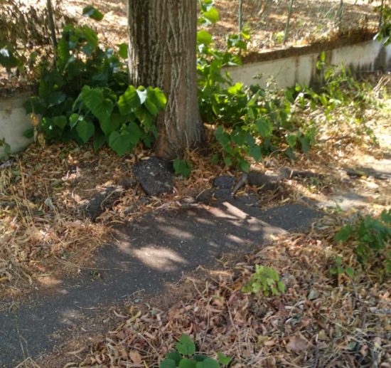 Bagnaia - Via Sant'Anna - Marciapiedi impraticabili