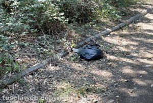 Montalto Marina - Rifiuti in via del Bosco