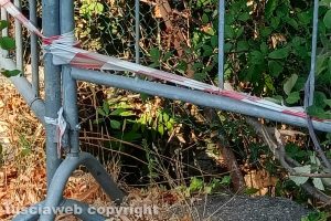 Viterbo - Incuria in via Sant'Anna