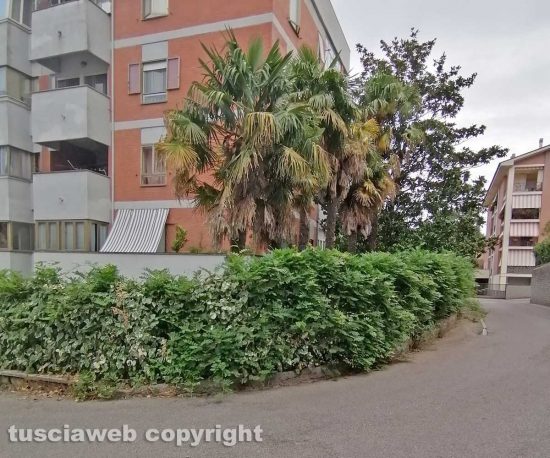 Viterbo - La curva pericolosa tra via Monte Amiata e via Gran Sasso