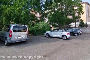 Viterbo - Incuria in via Gran Sasso