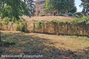 Viterbo - La pulizia di via Gran Sasso