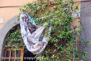 Viterbo - Bomba incendiaria nel centro storico