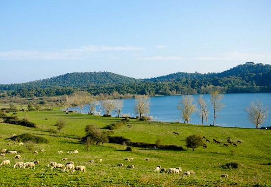 Lago di Mezzano