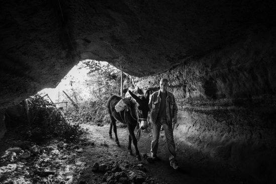 Uno scatto del fotografo Brian Stanton