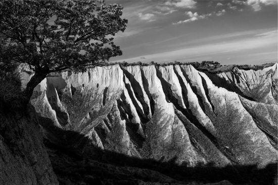 Uno scatto del fotografo Brian Stanton